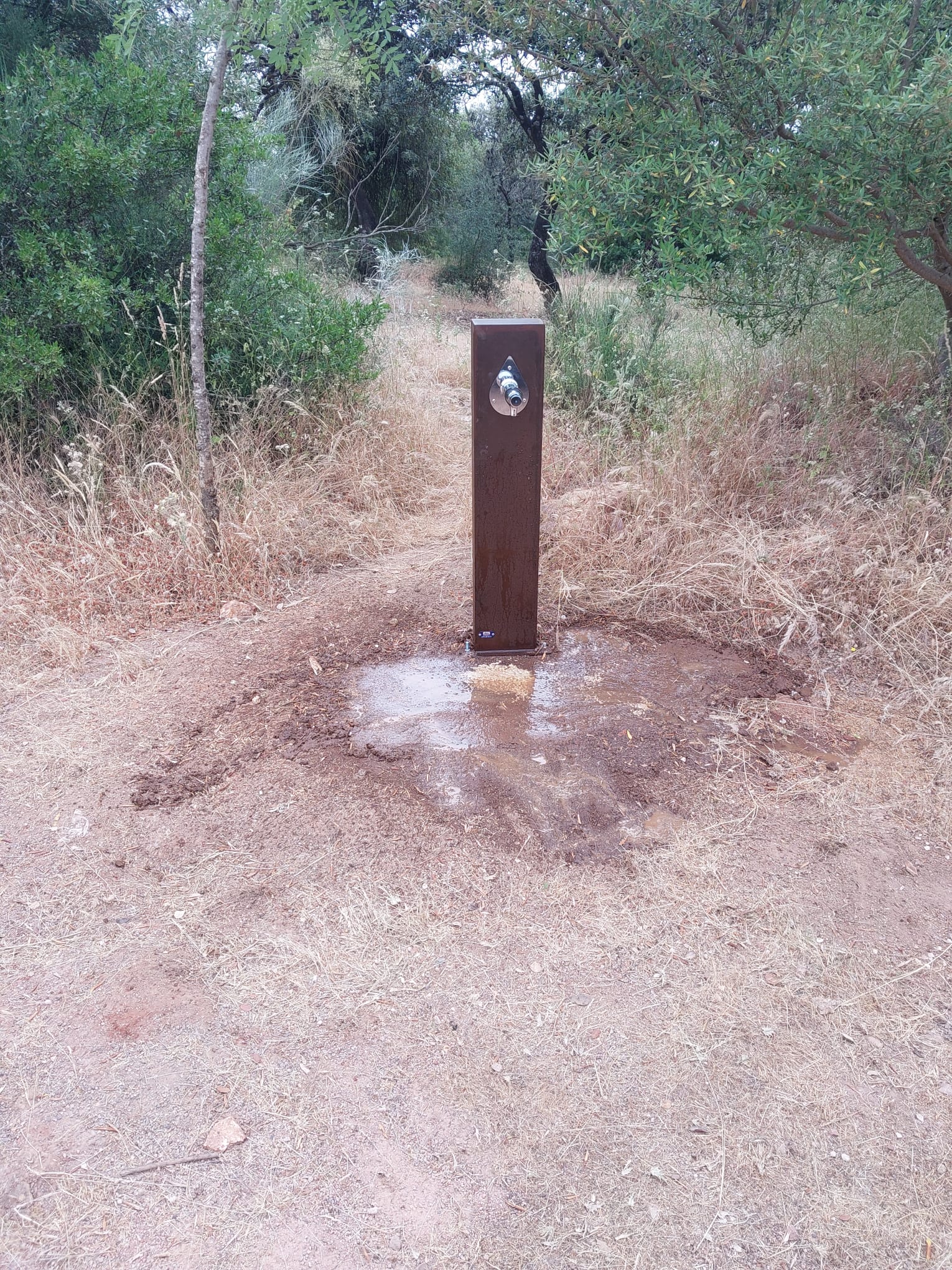 Fuente Patriarca - Prolongación Lentisco